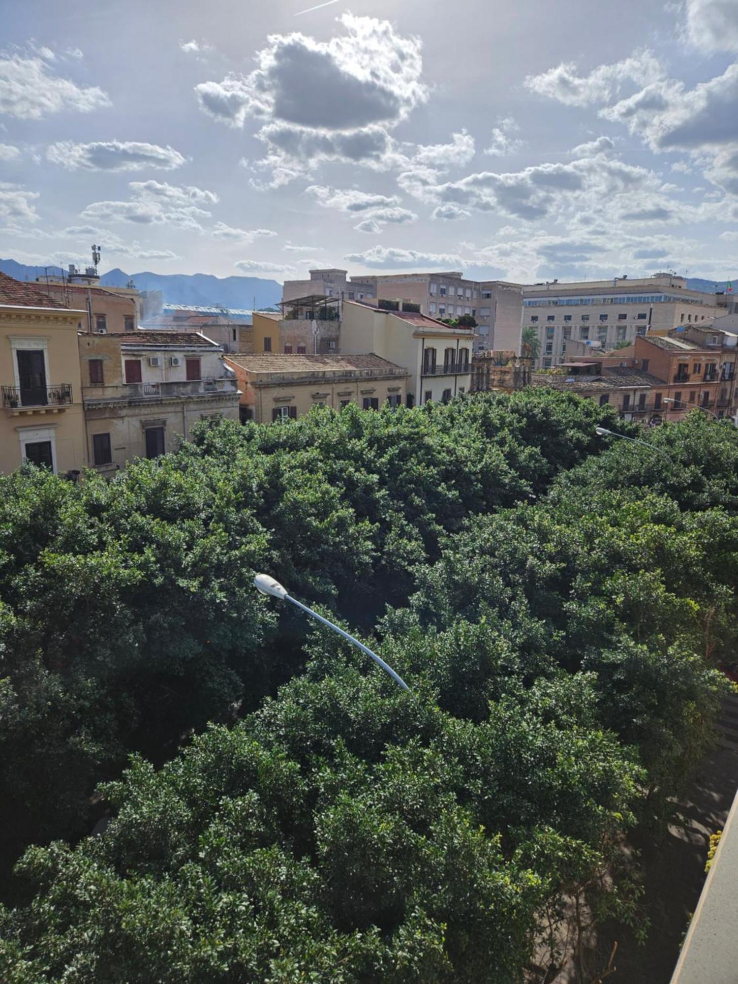 Terrazza Massimo Daire Palermo Dış mekan fotoğraf
